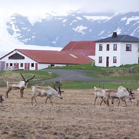 Hólmur 赫尔玛宾馆酒店 外观 照片
