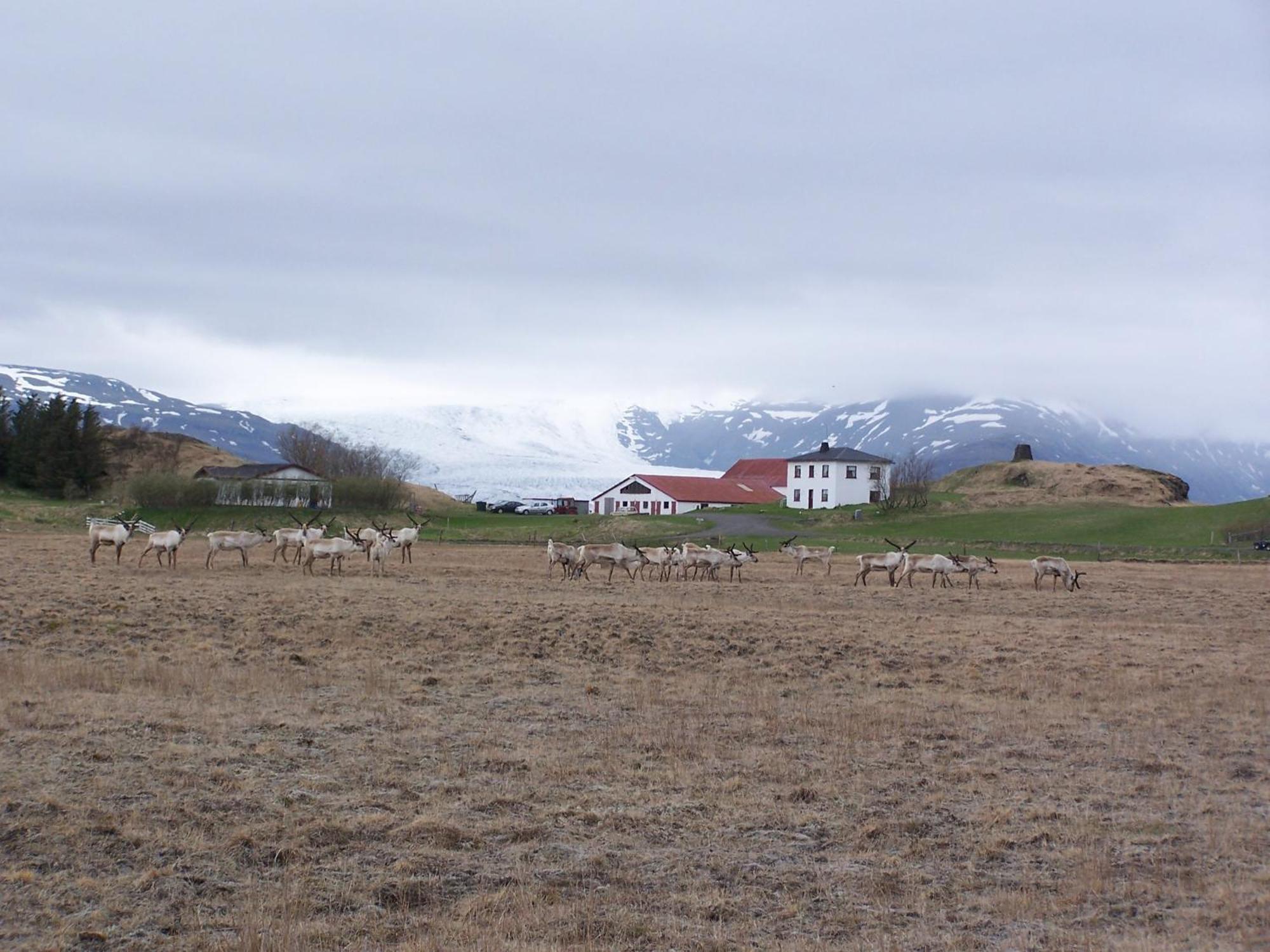 Hólmur 赫尔玛宾馆酒店 外观 照片