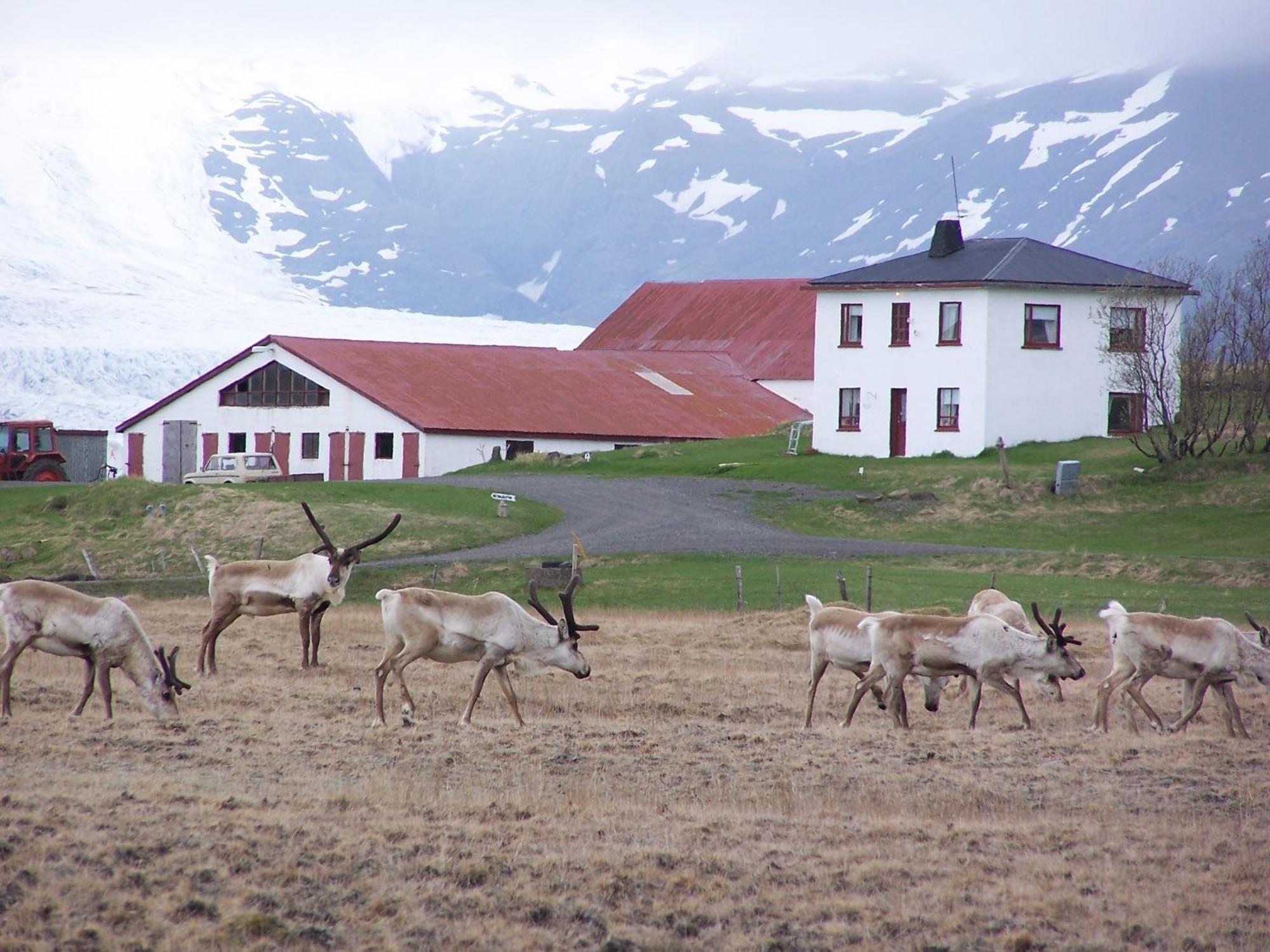 Hólmur 赫尔玛宾馆酒店 外观 照片